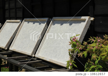 和紙の天日干し 10612657