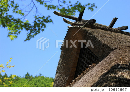 新緑と茅葺屋根 10612667