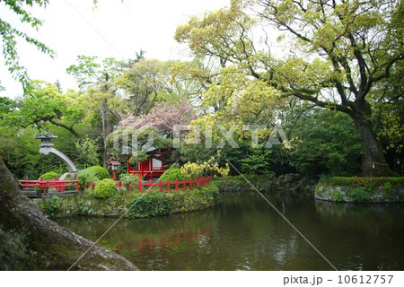 三嶋大社 10612757