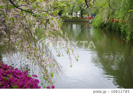 三嶋大社 10612785