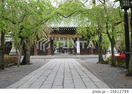 三嶋大社 三嶋大社 10612789