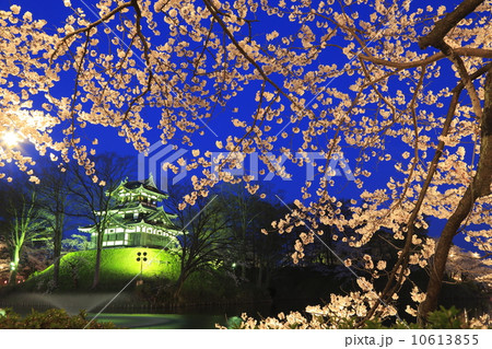 高田公園　薄明夜桜　HDR 10613855