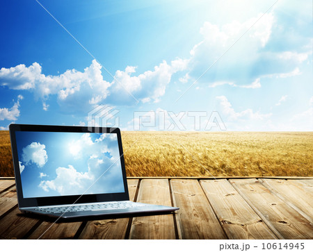 notebook and yellow wheat field 10614945