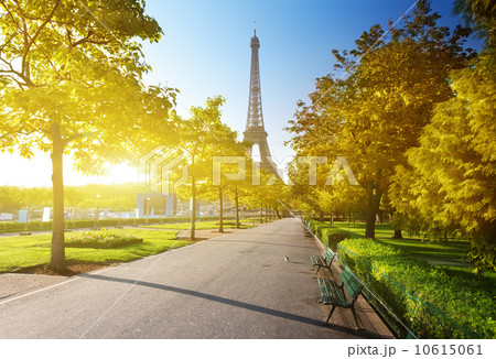 autumn morning and Eiffel Tower, Paris, France autumn morning and Eiffel Tower, Paris, France 10615061