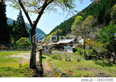 春の里山 10615090