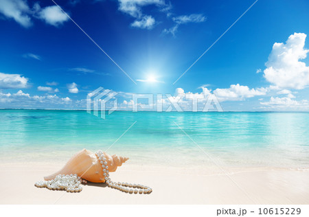 sea shells and perls on the beach sea shells and perls on the beach 10615229