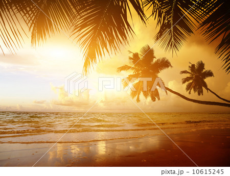 sunset on the beach of caribbean sea 10615245