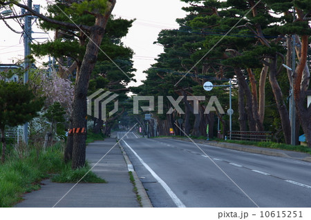 赤松街道 赤松街道 10615251