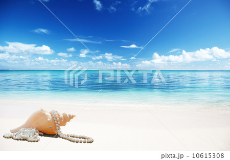 sea shells and perls on the beach sea shells and perls on the beach 10615308