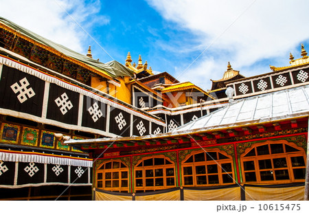 Tibet scene- Potala Palace  10615475
