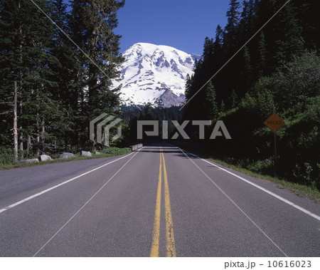 マウント・レーニア 10616023