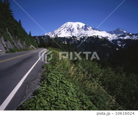 マウント・レーニア 10616024
