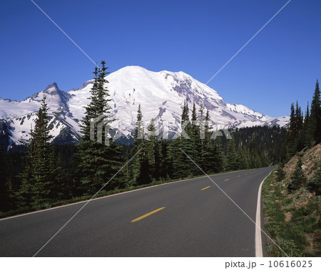 マウント・レーニア 10616025