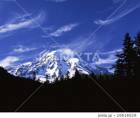 マウント・レーニア 10616026