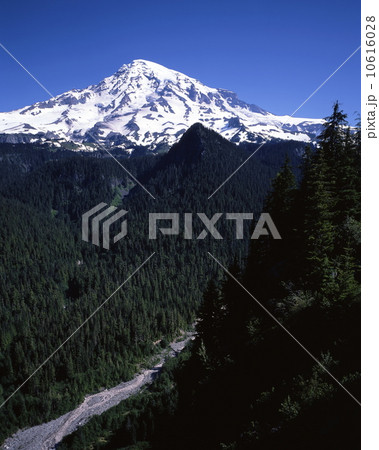 マウント・レーニア 10616028