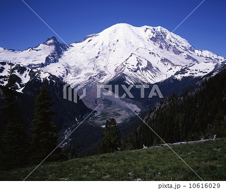 マウント・レーニア 10616029