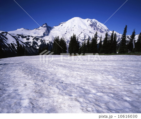 マウント・レーニア 10616030
