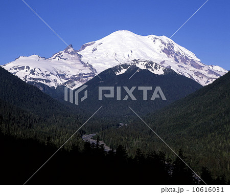 マウント・レーニア 10616031