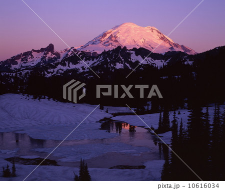 マウント・レーニア 10616034