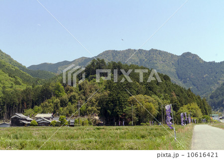 西脇市　黒田城跡 10616421