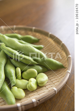 そら豆 10616470