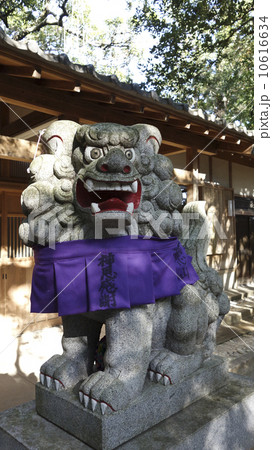 狛犬 10616634