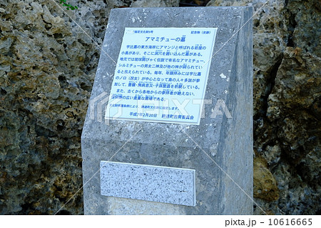 沖縄史跡アマミチューの墓、説明石碑 10616665