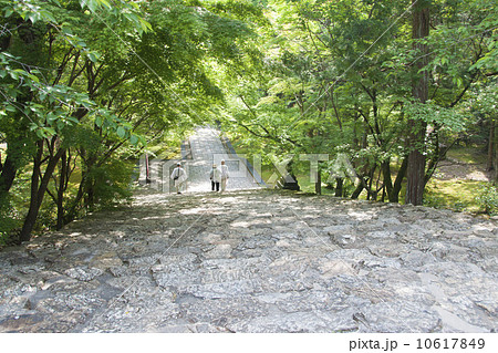 四国霊場31番札所竹林寺 四国霊場31番札所竹林寺 10617849