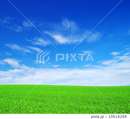 field field 10618268