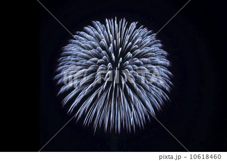 和歌山マリーナシティ　スターライトイリュージョン 10618460