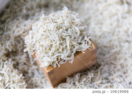 ちりめんじゃこ 10619066