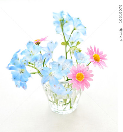 かわいいお花。 かわいいお花。 10619079