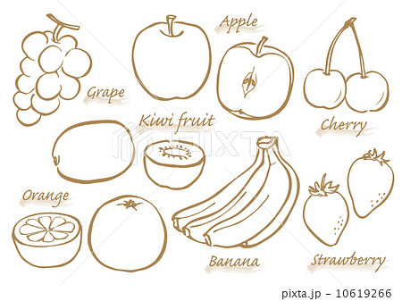 食材 果物 線画のイラスト素材