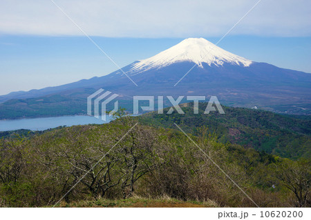 新緑の石割山 新緑の石割山 10620200