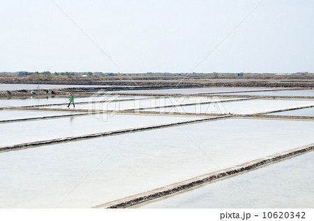 salt plantations, Vietnam 10620342