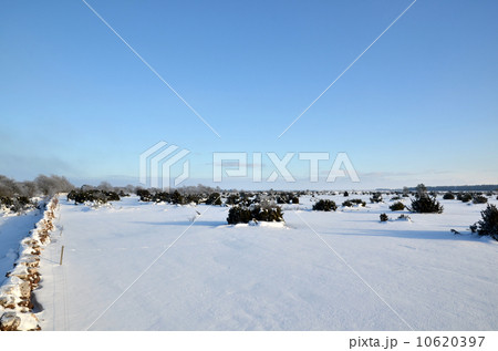 Winter at great plain area 10620397