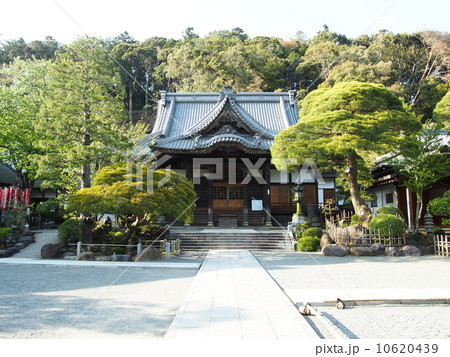【伊豆】修禅寺境内と本堂の風景【春】 10620439