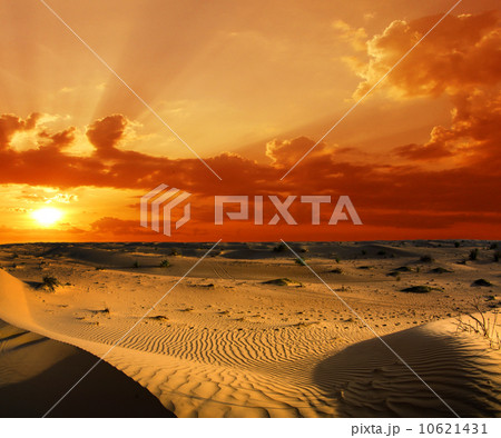 Desert landscape 10621431