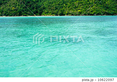 sea sea 10622097