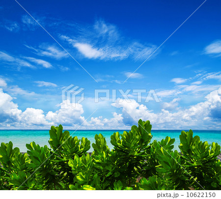 sea 10622150