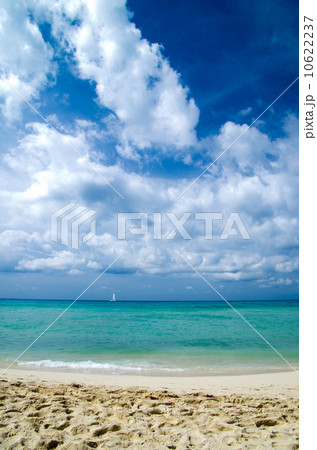 tropical sea 10622237