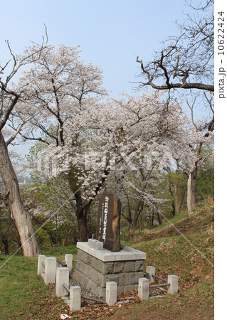 桜と慰霊碑 10622424