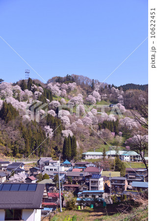 日本で最も美しい村の春景色 日本で最も美しい村の春景色 10622451
