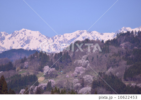 日本で最も美しい村の春景色 日本で最も美しい村の春景色 10622453
