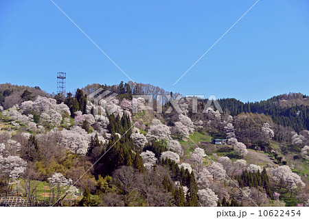 日本で最も美しい村の春景色 10622454