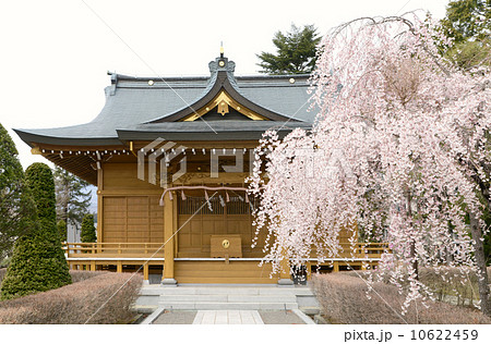 伊那神社 10622459