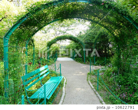 モネの庭 10622791