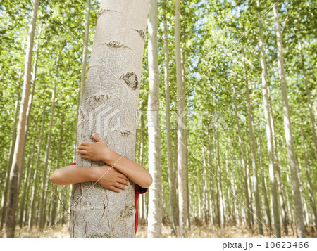 USA, Oregon, Boardman, Boy (8-9) hugging poplar tree in tree farm 10623466