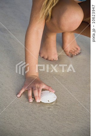 Girl picking up sand dollar, Florida, United States Girl picking up sand dollar, Florida, United States 10623947