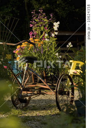 Antique tricycle carrying fresh flowers 10624358